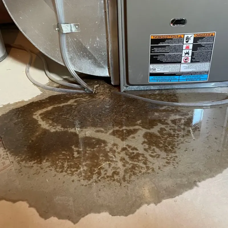 Pipe Burst and Leak Restoration in Van Zandt County, TX