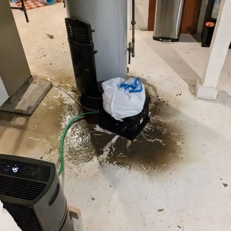 Sewage Backup Cleanup Service in Van Zandt County, TX